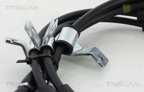TRISCAN Motorkapkabel (8140 21601)