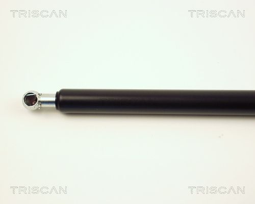 TRISCAN Gasveer, kofferruimte (8710 16239)