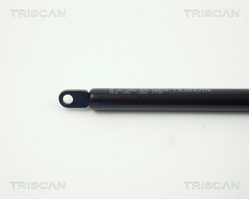 TRISCAN Gasveer, kofferruimte (8710 66207)
