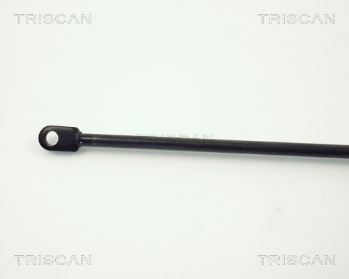 TRISCAN Gasveer, kofferruimte (8710 66207)