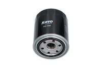 KAVO PARTS Oliefilter (TO-140)